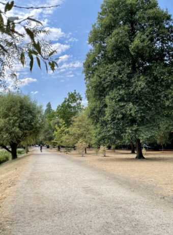 The Backs Garden Path