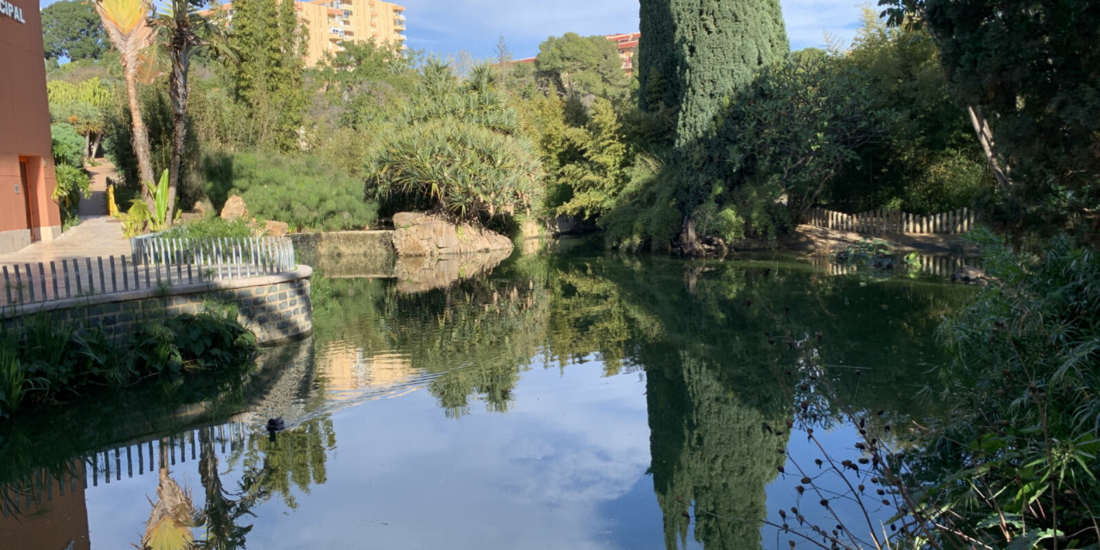 Pond at Paloma Park